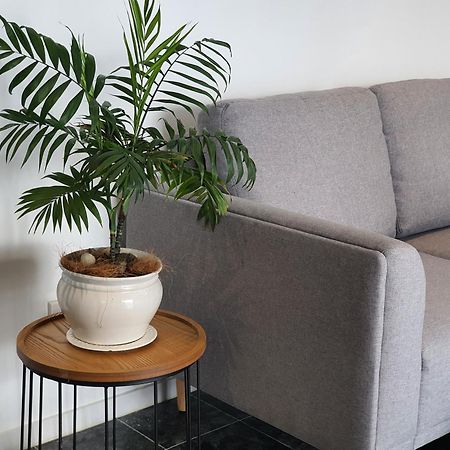 Alice House Hotel Auckland Eksteriør billede